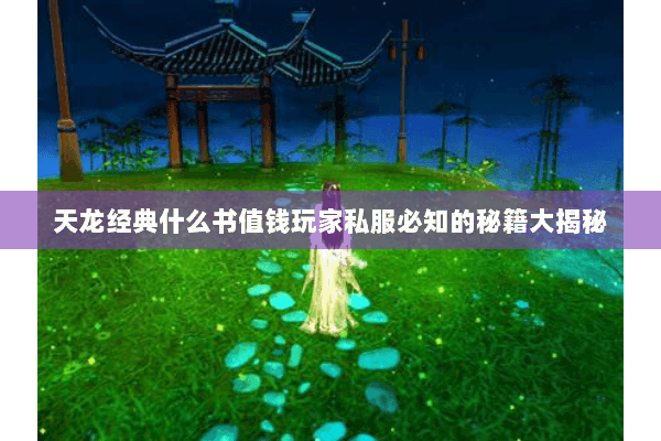 天龙经典什么书值钱玩家私服必知的秘籍大揭秘 天龙经典什么书值钱玩家私服必知的秘籍大揭秘