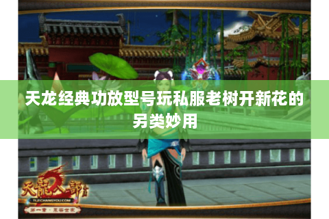 天龙经典功放型号玩私服老树开新花的另类妙用 天龙经典功放型号玩私服老树开新花的另类妙用