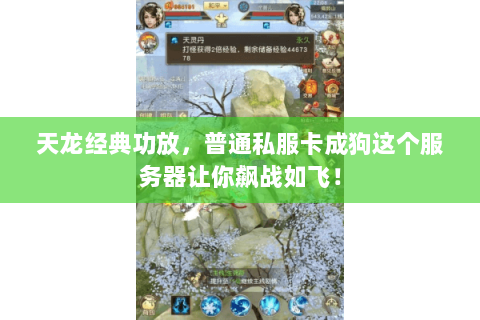 天龙经典功放,普通私服卡成狗这个服务器让你飙战如飞! 天龙经典功放,普通私服卡成狗这个服务器让你飙战如飞!