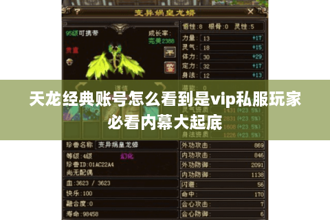 天龙经典账号怎么看到是vip私服玩家必看内幕大起底