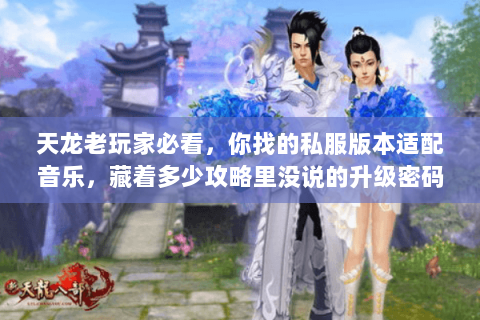 天龙老玩家必看,你找的私服版本适配音乐,藏着多少攻略里没说的升级密码 天龙老玩家必看,你找的私服版本适配音乐,藏着多少攻略里没说的升级密码