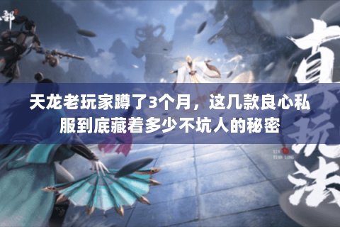 天龙老玩家蹲了3个月，这几款良心私服到底藏着多少不坑人的秘密