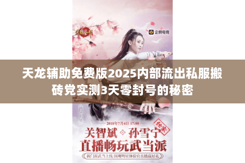 天龙辅助免费版2025内部流出私服搬砖党实测3天零封号的秘密 天龙辅助免费版2025内部流出私服搬砖党实测3天零封号的秘密