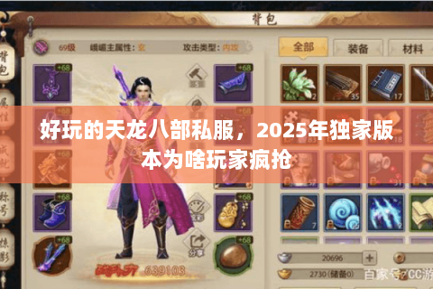 好玩的天龙八部私服，2025年独家版本为啥玩家疯抢