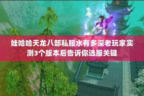 娃哈哈天龙八部私服水有多深老玩家实测3个版本后告诉你选服关键