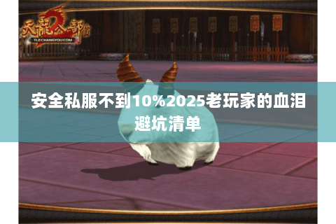 安全私服不到10%2025老玩家的血泪避坑清单