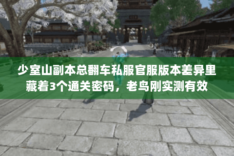 少室山副本总翻车私服官服版本差异里藏着3个通关密码,老鸟刚实测有效 少室山副本总翻车私服官服版本差异里藏着3个通关密码,老鸟刚实测有效