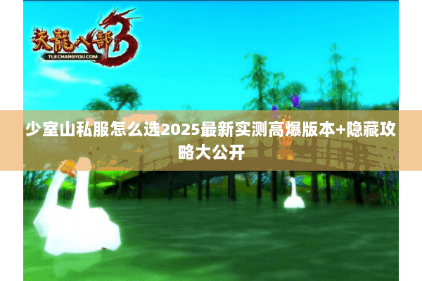 少室山私服怎么选2025最新实测高爆版本+隐藏攻略大公开