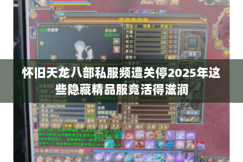 怀旧天龙八部私服频遭关停2025年这些隐藏精品服竟活得滋润