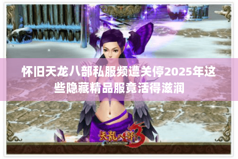 怀旧天龙八部私服频遭关停2025年这些隐藏精品服竟活得滋润