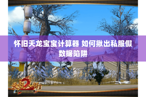 怀旧天龙宝宝计算器 如何揪出私服假数据陷阱 怀旧天龙宝宝计算器 如何揪出私服假数据陷阱