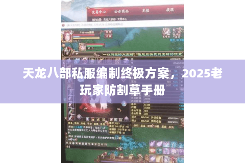 天龙八部私服编制终极方案，2025老玩家防割草手册