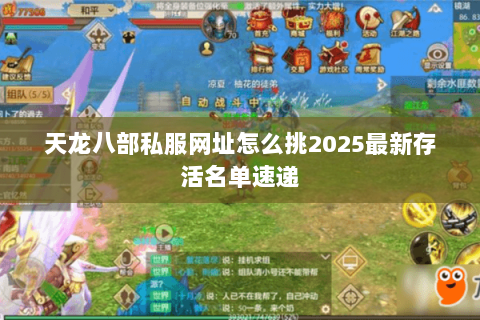 天龙八部私服网址怎么挑2025最新存活名单速递 天龙八部私服网址怎么挑2025最新存活名单速递