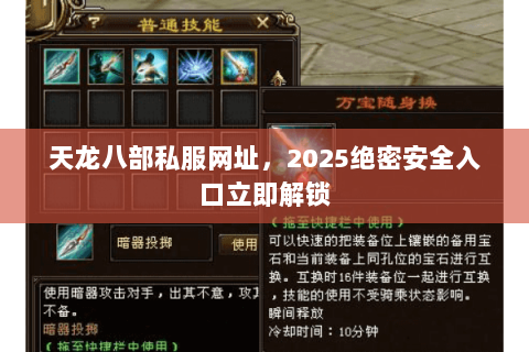 天龙八部私服网址，2025绝密安全入口立即解锁