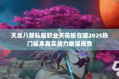 天龙八部私服职业天花板在哪2025热门版本真实战力断层报告 天龙八部私服职业天花板在哪2025热门版本真实战力断层报告