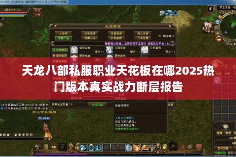 天龙八部私服职业天花板在哪2025热门版本真实战力断层报告 天龙八部私服职业天花板在哪2025热门版本真实战力断层报告
