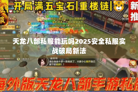 天龙八部私服能玩吗2025安全私服实战破局新法