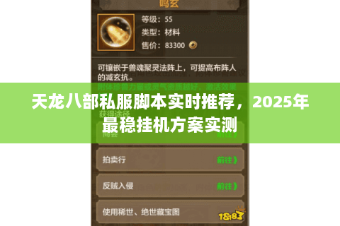 天龙八部私服脚本实时推荐，2025年最稳挂机方案实测