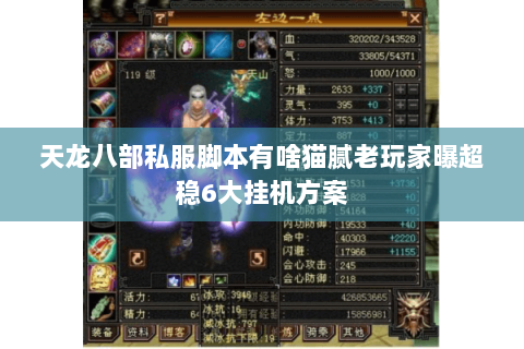 天龙八部私服脚本有啥猫腻老玩家曝超稳6大挂机方案