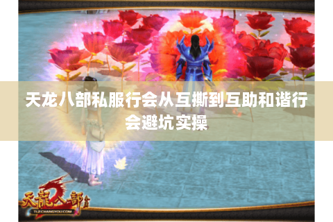 天龙八部私服行会从互撕到互助和谐行会避坑实操 天龙八部私服行会从互撕到互助和谐行会避坑实操