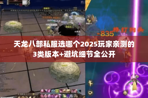 天龙八部私服选哪个2025玩家亲测的3类版本+避坑细节全公开 天龙八部私服选哪个2025玩家亲测的3类版本+避坑细节全公开