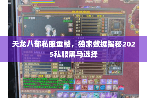 天龙八部私服重楼，独家数据揭秘2025私服黑马选择