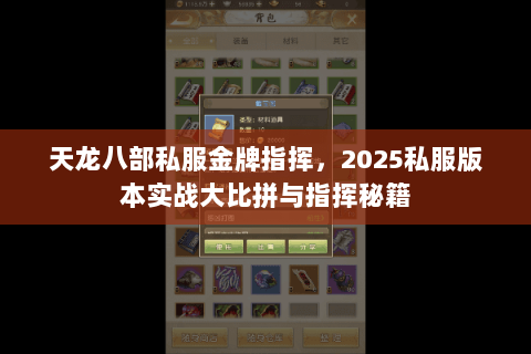 天龙八部私服金牌指挥，2025私服版本实战大比拼与指挥秘籍