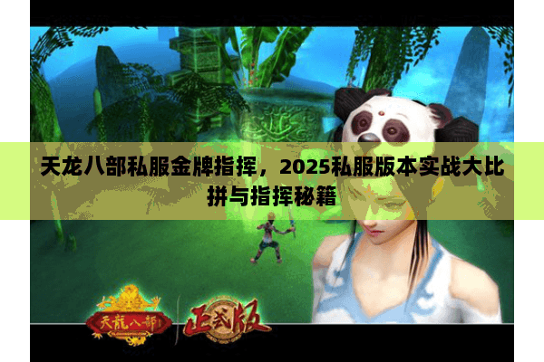 天龙八部私服金牌指挥，2025私服版本实战大比拼与指挥秘籍