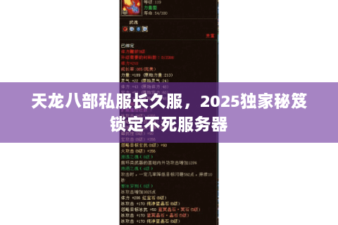 天龙八部私服长久服,2025独家秘笈锁定不死服务器 天龙八部私服长久服,2025独家秘笈锁定不死服务器