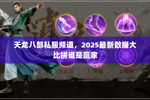 天龙八部私服频道，2025最新数据大比拼谁是赢家
