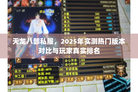 天龙八部私服，2025年实测热门版本对比与玩家真实排名