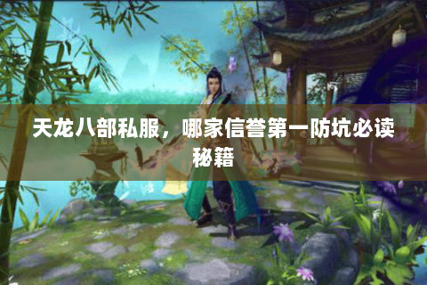 天龙八部私服，哪家信誉第一防坑必读秘籍
