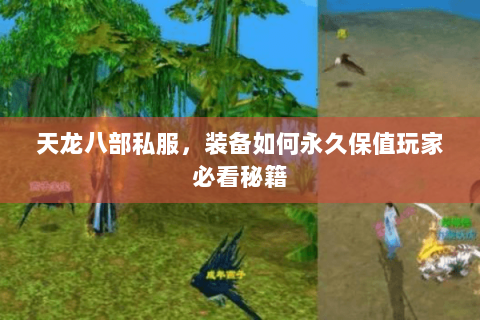 天龙八部私服,装备如何永久保值玩家必看秘籍 天龙八部私服,装备如何永久保值玩家必看秘籍
