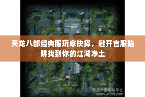 天龙八部经典服玩家抉择,避开官服陷阱找到你的江湖净土 天龙八部经典服玩家抉择,避开官服陷阱找到你的江湖净土