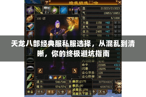 天龙八部经典服私服选择，从混乱到清晰，你的终极避坑指南