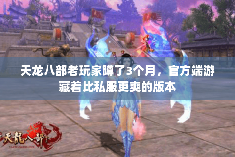 天龙八部老玩家蹲了3个月，官方端游藏着比私服更爽的版本