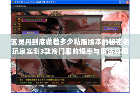 玄灵丹到底藏着多少私服版本的秘密老玩家实测3款冷门服的爆率与用法真相