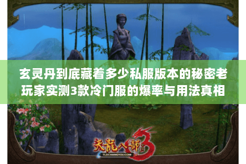 玄灵丹到底藏着多少私服版本的秘密老玩家实测3款冷门服的爆率与用法真相