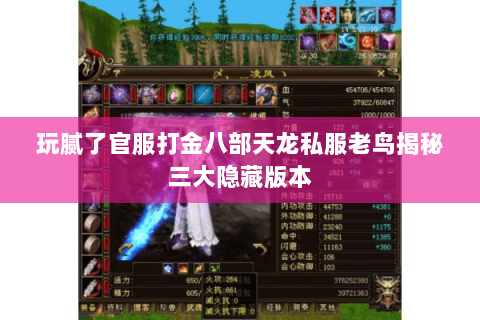 玩腻了官服打金八部天龙私服老鸟揭秘三大隐藏版本