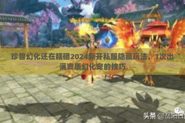 珍兽幻化还在瞎砸2024新开私服隐藏玩法,1次出满资质幻化宠的技巧 珍兽幻化还在瞎砸2024新开私服隐藏玩法,1次出满资质幻化宠的技巧