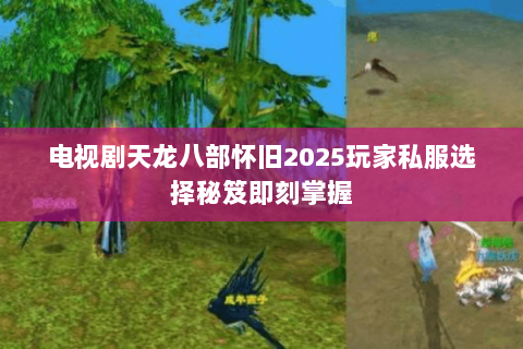 电视剧天龙八部怀旧2025玩家私服选择秘笈即刻掌握 电视剧天龙八部怀旧2025玩家私服选择秘笈即刻掌握