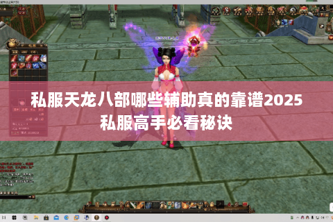 私服天龙八部哪些辅助真的靠谱2025私服高手必看秘诀