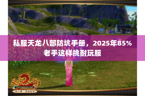 私服天龙八部防坑手册,2025年85%老手这样挑耐玩服 私服天龙八部防坑手册,2025年85%老手这样挑耐玩服