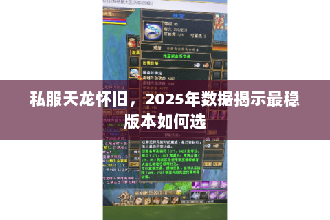 私服天龙怀旧，2025年数据揭示最稳版本如何选