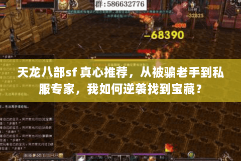 天龙八部sf 真心推荐,从被骗老手到私服专家,我如何逆袭找到宝藏? 天龙八部sf 真心推荐,从被骗老手到私服专家,我如何逆袭找到宝藏?