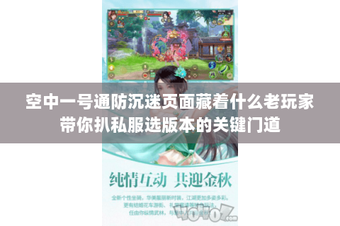 空中一号通防沉迷页面藏着什么老玩家带你扒私服选版本的关键门道