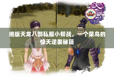 绝版天龙八部私服小帮战，一个菜鸟的惊天逆袭秘籍