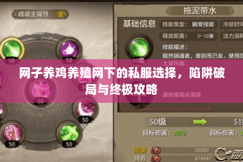 网子养鸡养殖网下的私服选择,陷阱破局与终极攻略 网子养鸡养殖网下的私服选择,陷阱破局与终极攻略