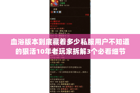 血浴版本到底藏着多少私服用户不知道的狠活10年老玩家拆解3个必看细节 血浴版本到底藏着多少私服用户不知道的狠活10年老玩家拆解3个必看细节