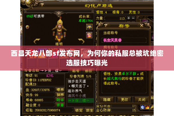西昌天龙八部sf发布网,为何你的私服总被坑绝密选服技巧曝光 西昌天龙八部sf发布网,为何你的私服总被坑绝密选服技巧曝光